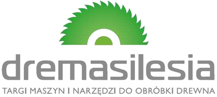 Logo of Dremasilesia 2012