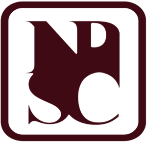 Logo of NPSC 2024