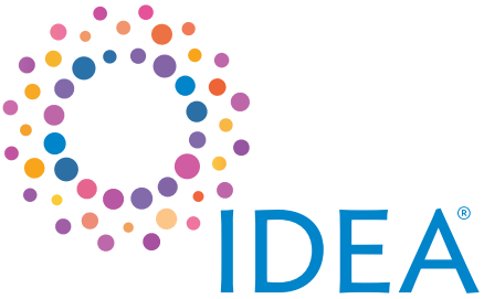 Logo of IDEA 2025