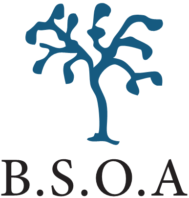 Logo of BSOA Spring Scientific Meeting 2024