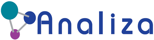 Logo of Analiza 2024