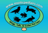 Logo of Wings Tails and Scales Exotic Pet Fairs Hastings 2023