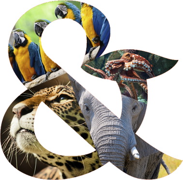 Logo of AZA Annual Conference 2026
