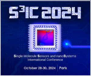Logo of S3IC 2024