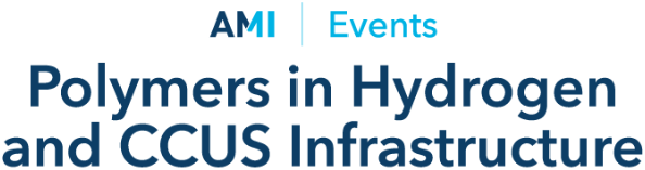 Logo of Polymers in Hydrogen and CCUS Infrastructure - 2024