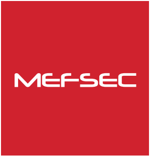 Logo of MEFSEC 2013