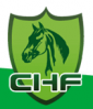 Logo of China Horse Fair 2021