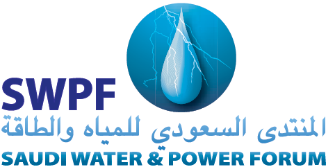 Logo of SWPF 2013