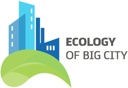 Logo of Ecology of Big City 2023