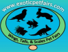 Logo of Exotic Pet Fair 2023