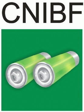 Logo of CNIBF 2012