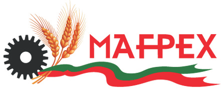 Logo of MAFPEX 2012