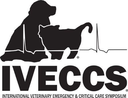 Logo of IVECCS 2025