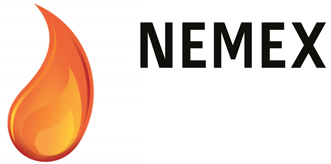 Logo of NEMEX 2014