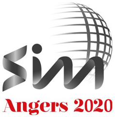 Logo of SIM 2020