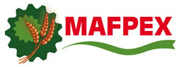 Logo of MAFPEX 2012