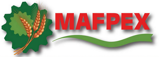 Logo of MAFPEX 2014