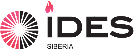 Logo of IDES Siberia 2013