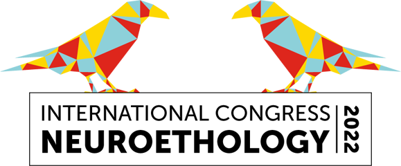 Logo of ICN Congress 2022