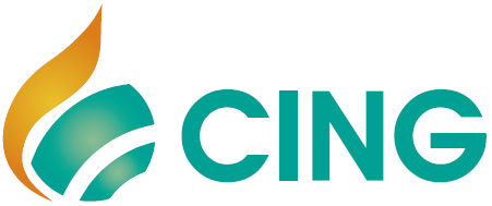 Logo of CING 2024