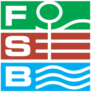 Logo of FSB 2013