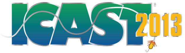 Logo of ICAST 2013