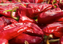 Logo of FÊTE DU PIMENT D'ESPELETTE Oct. 2025