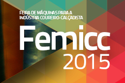 Logo of Femicc 2015
