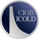 Logo of ICDSME - MY ICOLD Nov. 2025