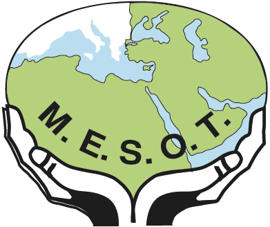 Logo of MESOT 2025