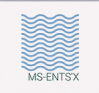 Logo of Mediterranean Symposium on Enterprise-New Technology Synergy 2019