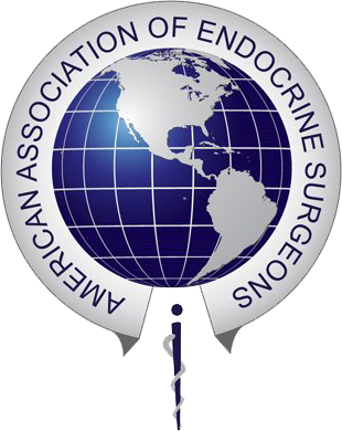 Logo of AAES Annual Meeting 2028