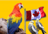 Logo of Canadian National Cage Bird Show And Expo 2024