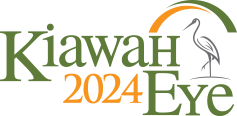 Logo of Kiawah Eye 2024 Meeting