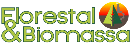 Logo of Florestal & Biomassa 2013