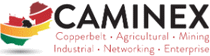 Logo of CAMINEX May. 2026