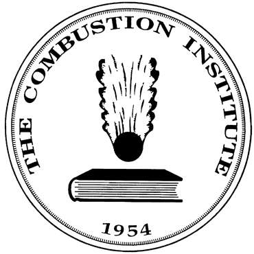 Logo of United States National Combustion Meeting 2023