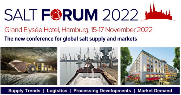 Logo of Salt Forum 2022