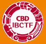 Logo of IBCTF - INTERNATIONAL BUILDING & CONSTRUCTION TRADE FAIR 2023